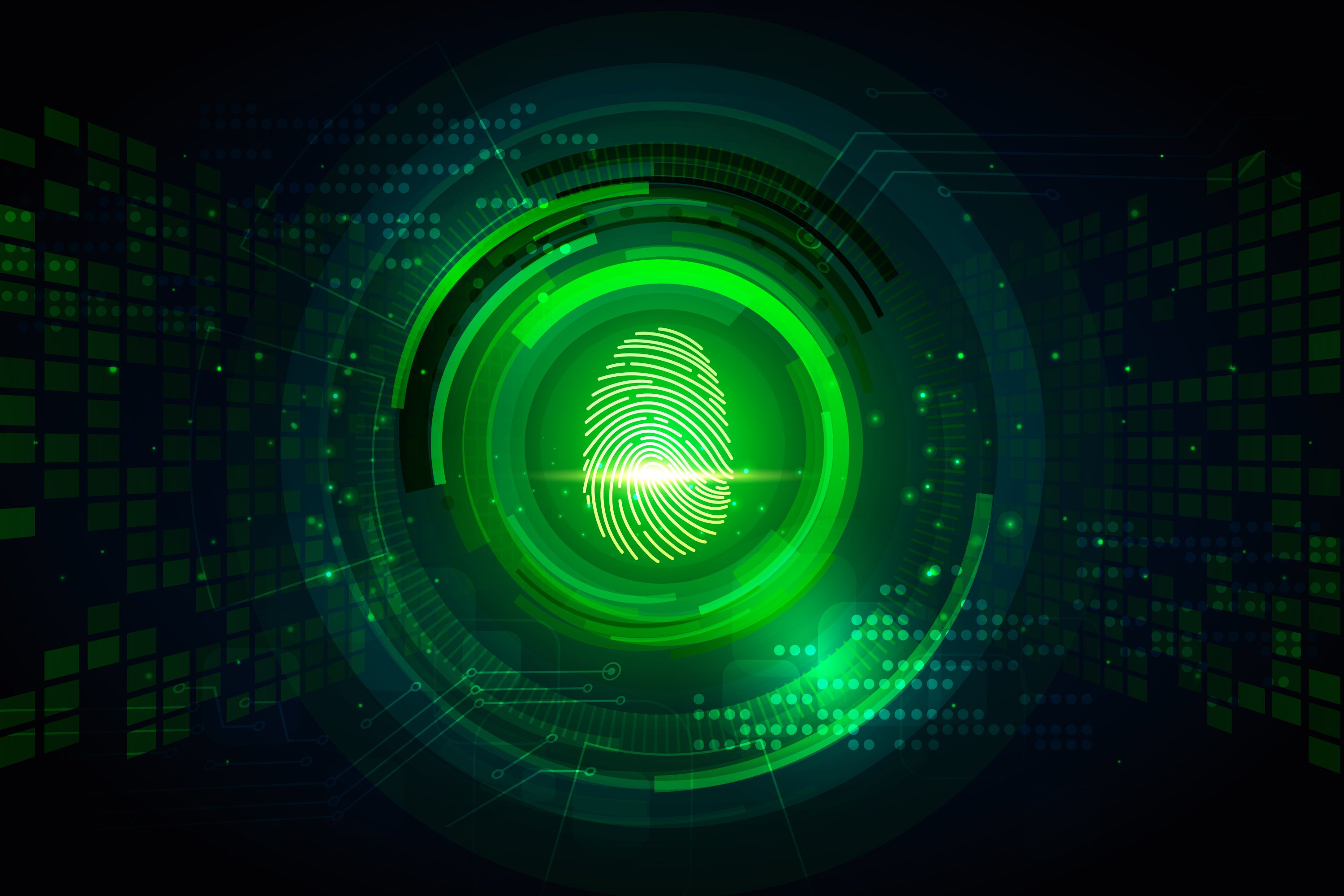 Contoh Data Pribadi yang Paling Gampang Dicuri Hacker