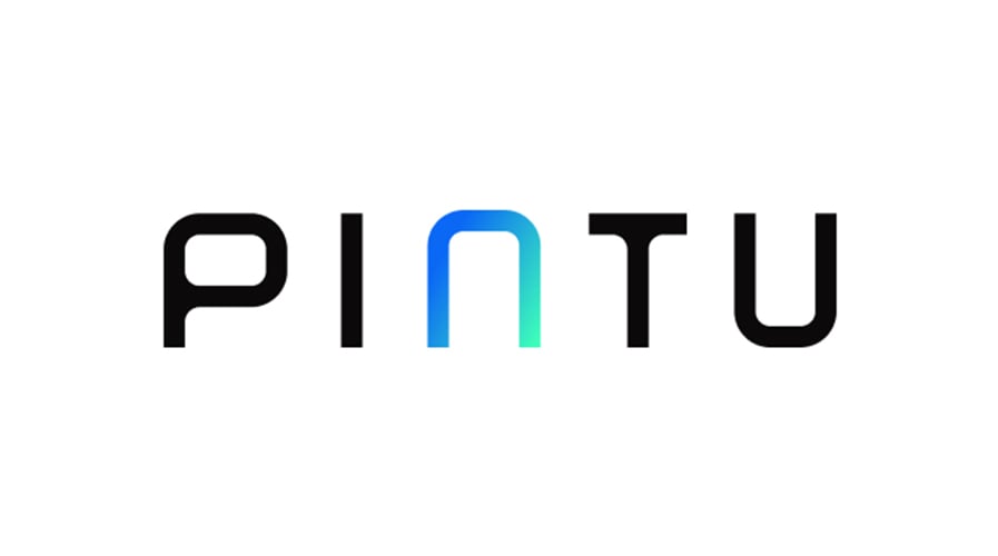 pintu